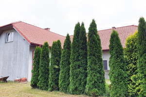 Dom na sprzedaż 275m2 wrocławski Czernica Wrocławska - zdjęcie 2
