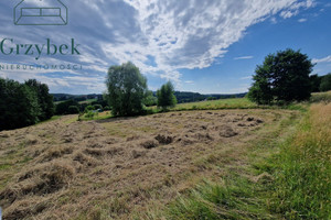 Działka na sprzedaż 19800m2 wielicki Biskupice Sułów - zdjęcie 1