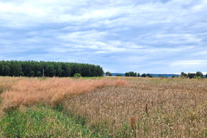 Działka na sprzedaż 20395m2 krakowski Liszki Piekary - zdjęcie 3