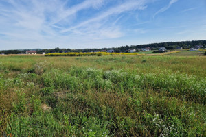 Działka na sprzedaż 800m2 krakowski Michałowice Masłomiąca - zdjęcie 1