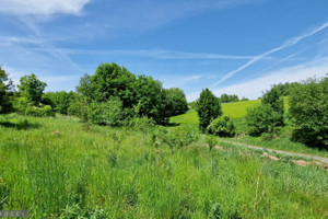 Działka na sprzedaż 600m2 krakowski Krzeszowice Nowa Góra - zdjęcie 1