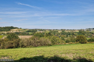 Działka na sprzedaż 2000m2 krakowski Zabierzów Zelków - zdjęcie 1