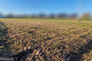 Działka na sprzedaż 782m2 krakowski Zielonki Węgrzce - zdjęcie 1