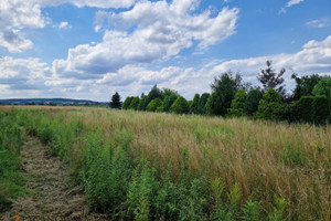 Działka na sprzedaż 1500m2 krakowski Kocmyrzów-Luborzyca Wilków - zdjęcie 1