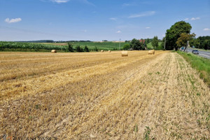 Działka na sprzedaż 9121m2 krakowski Michałowice Wilczkowice - zdjęcie 1