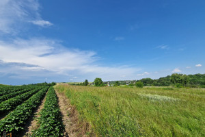 Działka na sprzedaż krakowski Skała Cianowice - zdjęcie 1