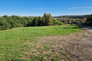 Działka na sprzedaż 4400m2 krakowski Michałowice - zdjęcie 1