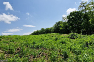 Działka na sprzedaż 13900m2 Kraków Prądnik Biały Tonie - zdjęcie 1