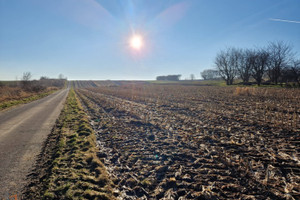 Działka na sprzedaż 3857m2 krakowski Zielonki Owczary - zdjęcie 1