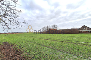 Działka na sprzedaż 5670m2 kościański Czempiń Piechanin - zdjęcie 1