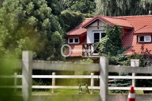 Komercyjne na sprzedaż 5000m2 grodziski Żabia Wola Rumianka Orzechowa - zdjęcie 1