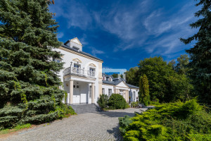 Dom na sprzedaż 1000m2 kutnowski Żychlin Zarębów - zdjęcie 2