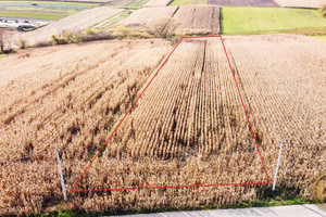 Działka na sprzedaż 5900m2 krakowski Zielonki Bibice Zbożowa - zdjęcie 1