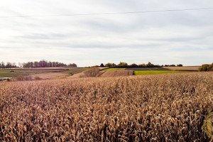 Działka na sprzedaż 5900m2 krakowski Zielonki Bibice Zbożowa - zdjęcie 1