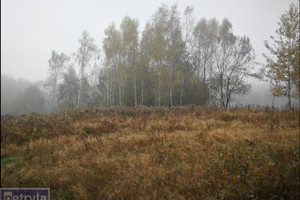 Działka na sprzedaż 1000m2 wielicki Wieliczka Węgrzce Wielkie - zdjęcie 1