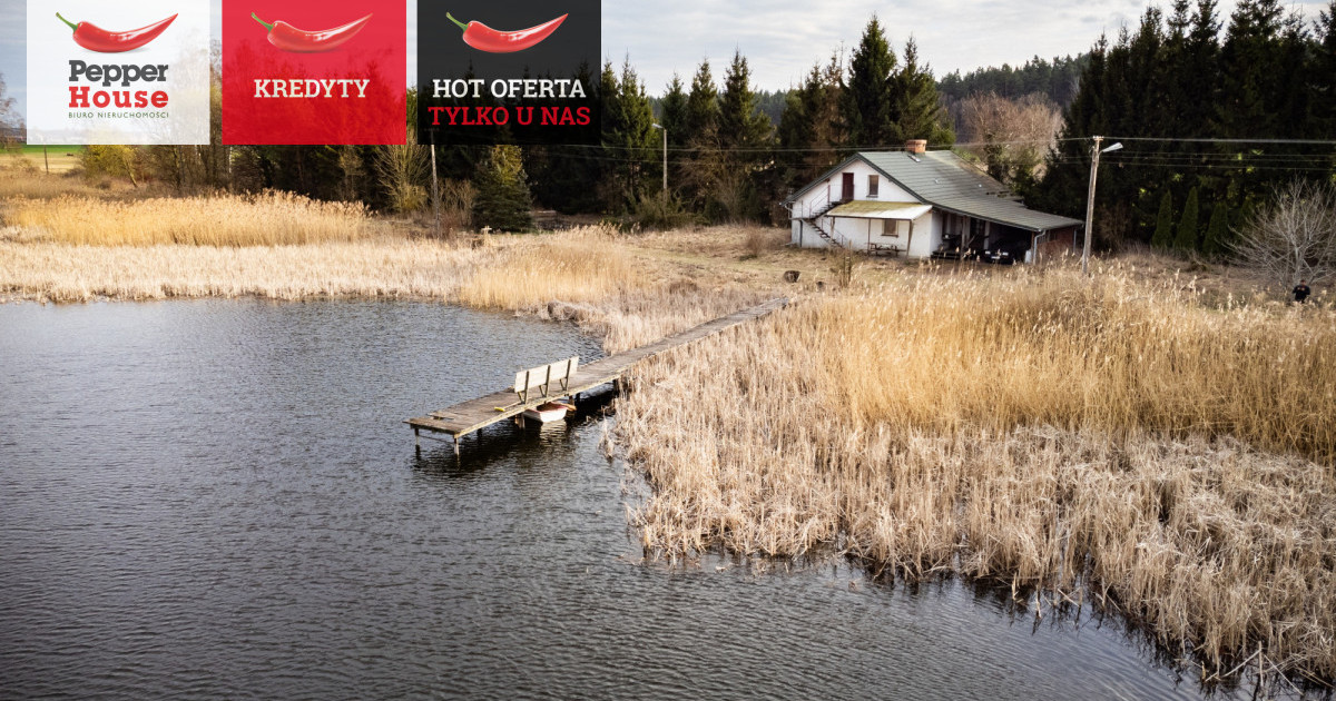 DUŻA DZIAŁKA Z WŁASNYM STAWEM I DOMKIEM