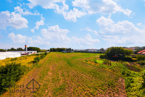 Działka na sprzedaż 9400m2 dzierżoniowski Łagiewniki - zdjęcie 1