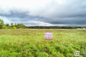 Działka na sprzedaż 3000m2 kamieński Świerzno Redliny - zdjęcie 1