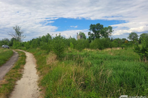 Działka na sprzedaż 2549m2 stargardzki Stara Dąbrowa - zdjęcie 2