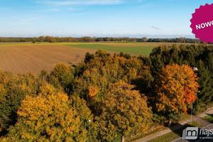 Działka na sprzedaż 4100m2 gryficki Brojce - zdjęcie 1