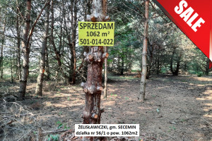 Działka na sprzedaż 1062m2 włoszczowski Secemin Żelisławiczki - zdjęcie 1