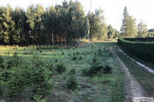 Działka na sprzedaż 3300m2 kwidzyński Gardeja Czarne Małe Czarne Małe - zdjęcie 1