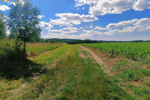 Działka na sprzedaż 1100m2 szamotulski Wronki Jasionna - zdjęcie 1