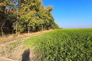 Działka na sprzedaż 800m2 szamotulski Kaźmierz - zdjęcie 1