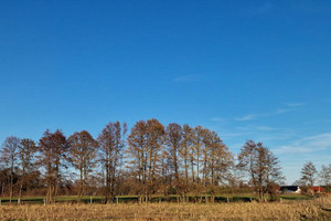 Działka na sprzedaż 1850m2 obornicki Rogoźno - zdjęcie 1