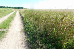 Działka na sprzedaż 960m2 gryficki Trzebiatów - zdjęcie 1