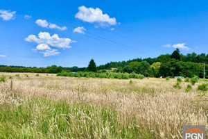 Działka na sprzedaż 1950m2 kamieński Wolin Domysłów - zdjęcie 1