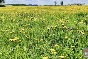 Działka na sprzedaż 1226m2 gryficki Gryfice - zdjęcie 1