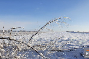 Działka na sprzedaż 1226m2 gryficki Gryfice - zdjęcie 3