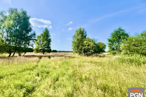 Działka na sprzedaż 3001m2 kamieński Świerzno Gostyniec - zdjęcie 1