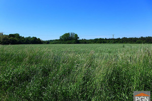 Działka na sprzedaż 2600m2 gryficki Gryfice - zdjęcie 2