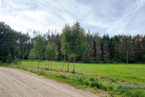 Działka na sprzedaż 1420m2 szczecinecki Biały Bór Biskupice - zdjęcie 3