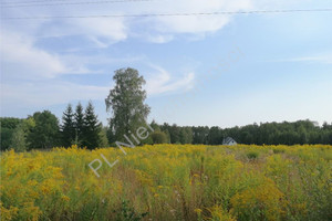 Działka na sprzedaż 4295m2 miński Dobre Mlęcin - zdjęcie 1