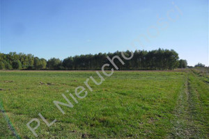 Działka na sprzedaż 10300m2 miński Cegłów Piaseczno - zdjęcie 2