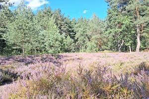 Działka na sprzedaż 1370m2 miński Jakubów Leontyna - zdjęcie 1