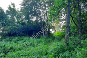 Dom na sprzedaż 100m2 miński Dobre Gęsianka - zdjęcie 1