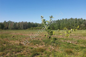 Działka na sprzedaż 800m2 miński Stanisławów - zdjęcie 1