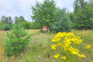 Działka na sprzedaż 1254m2 miński Mrozy Jeruzal - zdjęcie 1