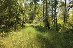 Działka na sprzedaż 1500m2 grodziski Grodzisk Mazowiecki Czarny Las - zdjęcie 1