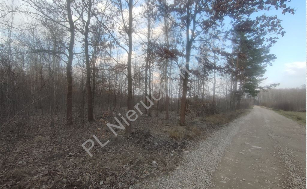 Duża działka budowlana- Janinów, gm. Grodzisk Maz