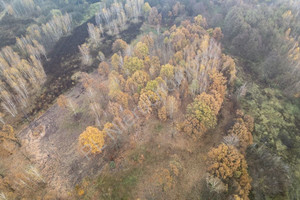 Działka na sprzedaż 1700m2 grodziski Milanówek - zdjęcie 1