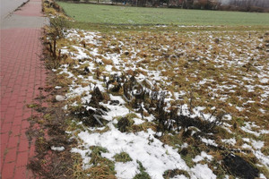 Działka na sprzedaż 22000m2 grodziski Grodzisk Mazowiecki Kozery - zdjęcie 1