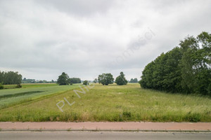 Działka na sprzedaż 22000m2 grodziski Grodzisk Mazowiecki Kozery - zdjęcie 1