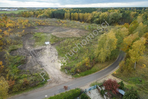 Działka na sprzedaż 46000m2 pruszkowski Brwinów Żółwin - zdjęcie 1