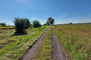 Działka na sprzedaż 12350m2 legionowski Nieporęt Wólka Radzymińska - zdjęcie 3