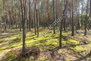 Działka na sprzedaż 800m2 wołomiński Dąbrówka - zdjęcie 1